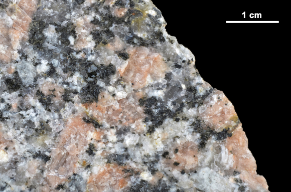 Granite rose (détail avec échelle)